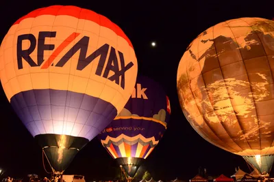 DSC_2431 (Large).JPG